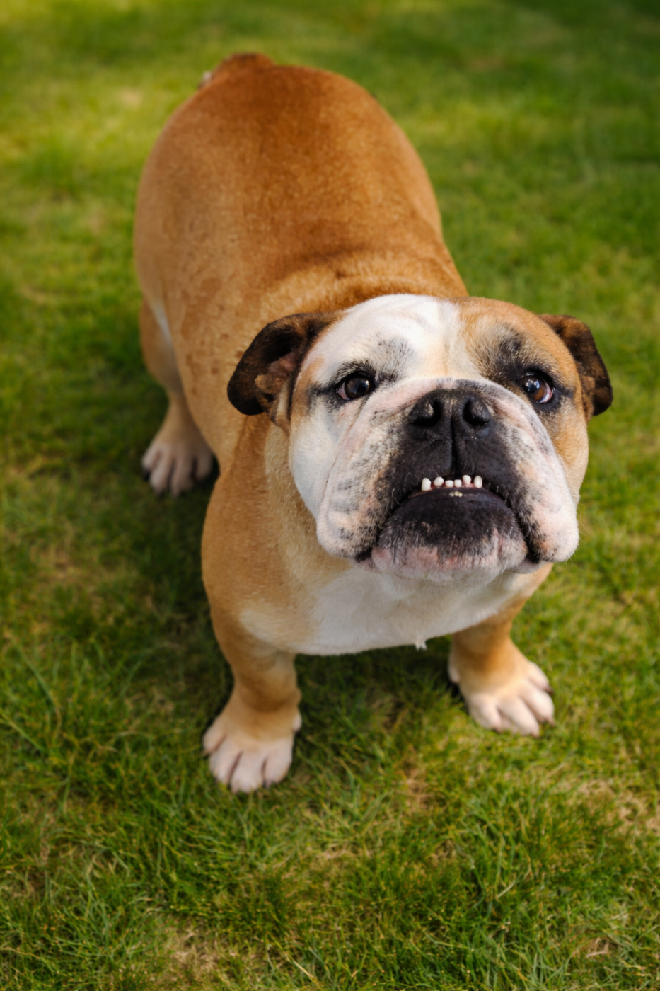 Vaïtiaré Du Domaine De Lilounaka